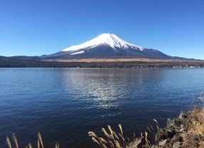 【古都之韵-京都赏】日本秋意楓韻京都+楓葉迴廊+富士掃帚草 7 日之旅