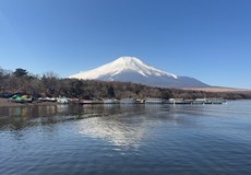 【和风雅韵·本州巡礼】日本本州直飞8日