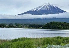【和风雅韵·本州巡礼】日本本州+伊豆直飞7日
