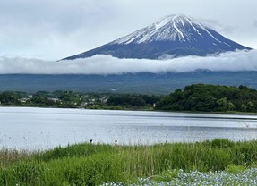 【和风雅韵·本州巡礼】日本本州+伊豆直飞7日
