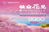 【扶桑花见】日本本州双古都双温泉·樱花季7日